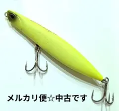 ビーチウォーカー