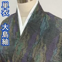 KN5022 単衣 大島紬 身丈156cm 正絹 単衣着物