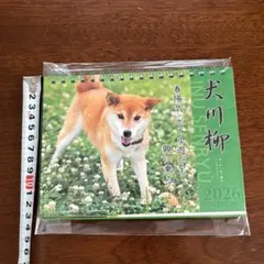 未使用、2026年、犬、卓上カレンダーのサムネイル