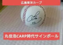 オールスターゲーム2015 広島東洋カープ 丸佳浩選手直筆サインボール試合球 読売ジャイアンツ 広島カープ 丸佳浩 選手 直筆サインボール
