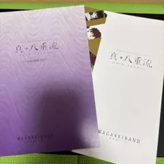 Item thumbnail for item a50096e4-9c47-4a17-bbd3-65e9b3f1c759