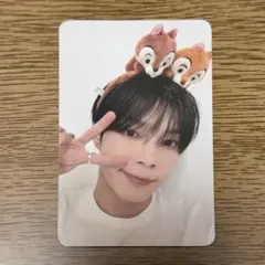 ドンホン トレカ