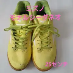 Mizunoミズノモナルシーダネオフットサルシューズ25センチ