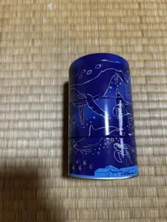 美ら海水族館の空き缶 中型