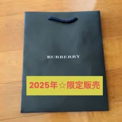 BURBERRY バーバリーショッパー　ショップ袋 22枚セット ブラウン BURBERRY バーバリーショッパー ショップ袋 22枚セット ブラウン