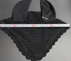 Item thumbnail for item 0fec2f77-ff6f-436e-8ae9-1c61911fccda