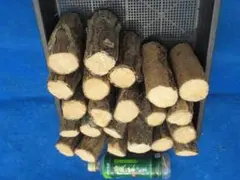 Item thumbnail for item a5f55681-6c87-4303-8a43-95b7890a4f23