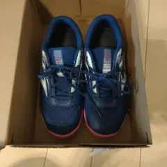 Mizuno SKY BLASTER 4 インドアシューズ25.5センチのサムネイル