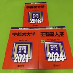 赤本 宇都宮大学 2015年～2024年 9年分 - メルカリ