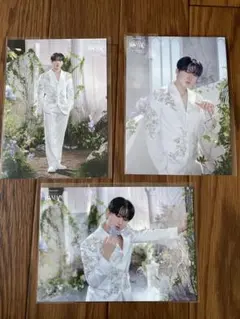 Stray Kids チャンビン　ランダムトレカ　Maniac