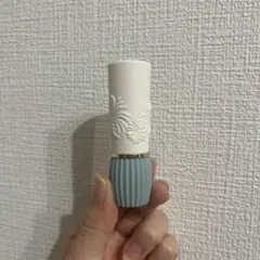 【値下げ】PAUL & JOE リップスティック N304 ケースセット