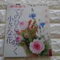 てのひらで咲く小さな花 　樹脂粘土クラフト　川口紀子　趣味悠々