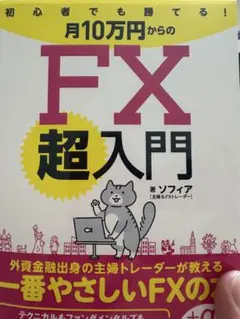 初心者でも勝てる!月10万円からのFX超入門