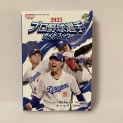 2025 プロ野球選手ガイドブック　ラスト中田翔　即購入OK 12球団