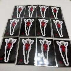 CrazyRaccoon CR だるまいずごっど GIGO ステッカー