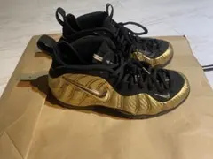 【A27】NIKE AIR FOAMPOSITE PRO 新品 タグ付 BOX付 ナイキ エア フォームポジット プロ 'Black & White' 2016. Nike
