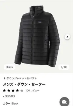 patagonia メンズ・ダウン・セーター Black