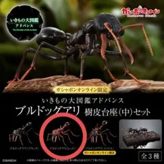 いきもの大図鑑アドバンス　ブルドッグアリ　樹脂台座セット