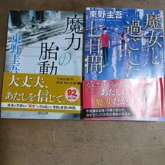 魔女と過ごした七日間、魔力の胎動