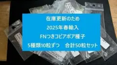 コピアポア種子　在庫整理のため 2025年春輸入種子　150粒セット＋おまけ 2026年最新】コピア 種子の人気アイテム - メルカリ