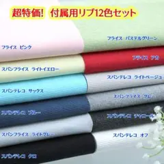 【特別価格！　付属用スパンテレコ・スパンフライス等12色セット】598AZ12