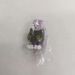 サンエックスユニバース　チャームつきグミ 靴下にゃんこ