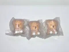 SKZOO ライトマスコット PuppyM