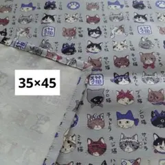 큰 플레이스매트에 있는 고양이