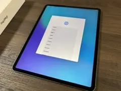 Apple iPad Pro 12.9インチ 第3世代 1TB SIMフリー