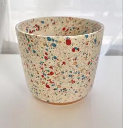 鉢　鉢植え　ボウル