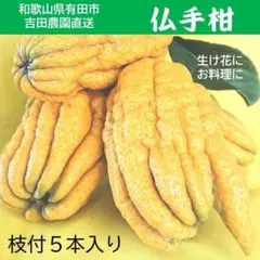 2026年最新】仏手柑の人気アイテム - メルカリ