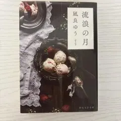 流浪の月 小説