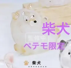 うちの子のけだまだま 柴犬　シープラ　ペテモ　C-pla 正規品　犬