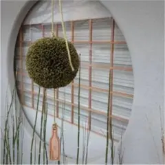 2025年最新】杉玉の人気アイテム - メルカリ