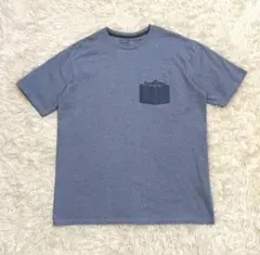 Patagonia バックプリント ポケットTシャツ Sサイズ（M相当）
