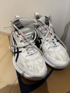 LI-NING ABAT119-3 スニーカー 25.5㎝ - メルカリ