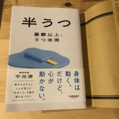 Item thumbnail for item e871969d-134e-474c-9b71-0d76eb6bfbe6