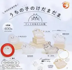 【柴犬】うちの子のけだまだま