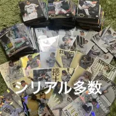 阪神タイガース スポーツカード