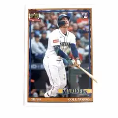 Item thumbnail for item a0660f79-7cb9-4c2d-823c-a44c05945421