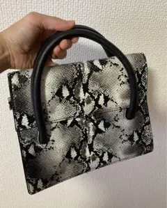 蛇柄　バッグ　ヘビ　ショルダーバッグ　2way 美品　オシャレ