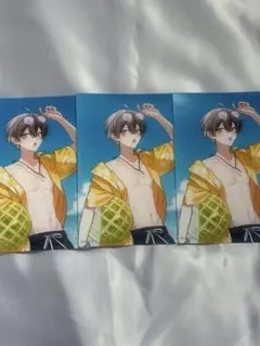 めろぱか　かもめ　ブロマイド3枚セット