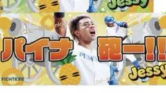 水谷瞬　″ パイナ砲ー!! ”フェイスタオル　 北海道日本ハムファイターズ