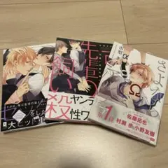 商業BL 漫画 まとめ売り 5冊セット - メルカリ