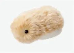 2025年最新】CASIO ぬいぐるみ本体の人気アイテム - メルカリ