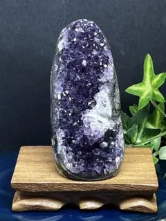 深海に花咲く紫の丸い星｜アメジストドーム - メルカリ