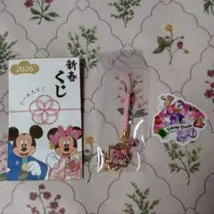 ディズニーストア 新春くじ ミニー