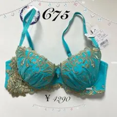 Item thumbnail for item bba474a3-7378-43e5-a2cb-f67b4a731b39