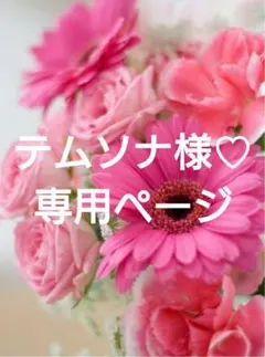 テムソナ様♡専用ページ.。.:*♡✿ฺ