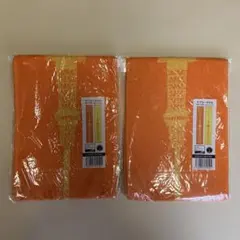 Item thumbnail for item bffca4f4-51b3-4950-a9ef-3149324dfbce